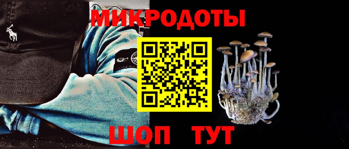Новоуральск  наркошоп  Вход с VPN  Псилоцибиновые грибы мицелий 
