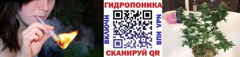 Канабис VHQ  Новоуральск 